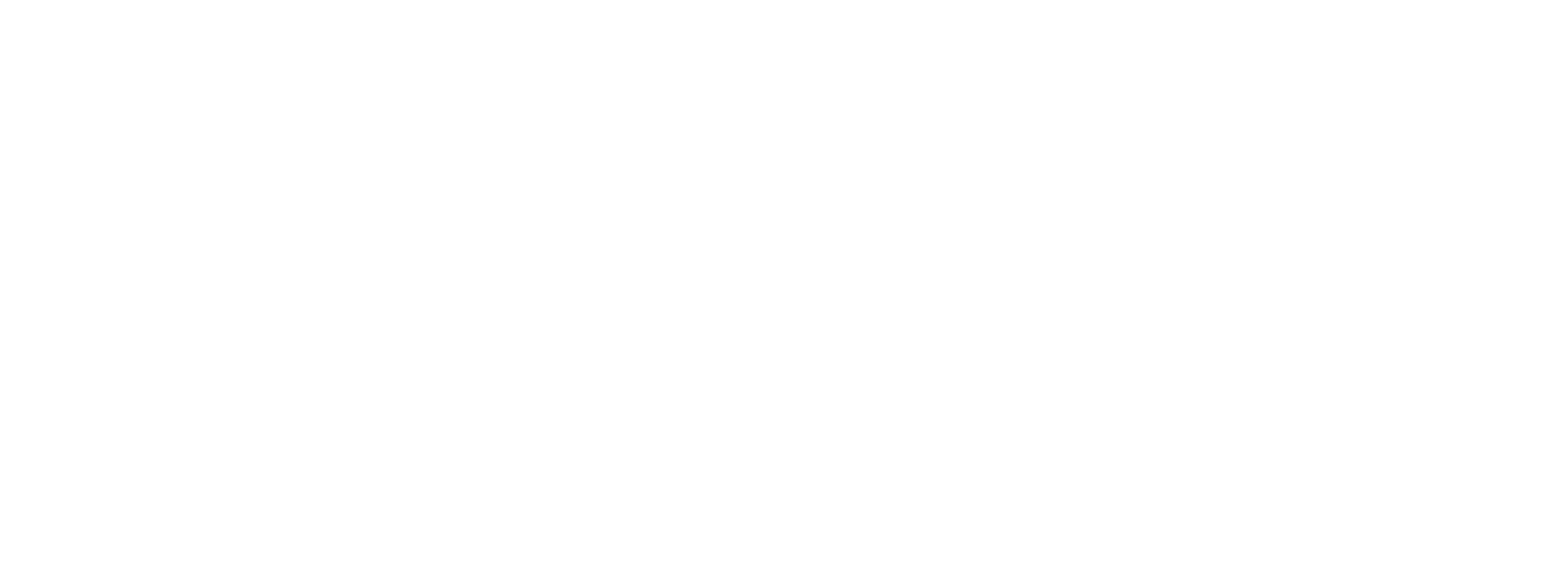 Biral_Logo_1
